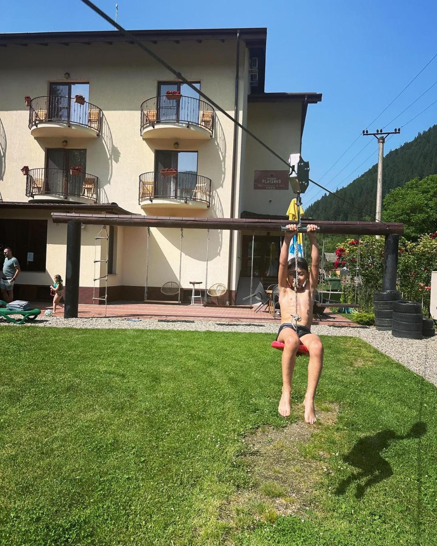 Maison Platanus Voineasa